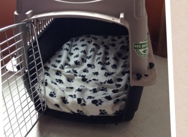 DIY Puppy Crate Pad for Travel Dog Kennels