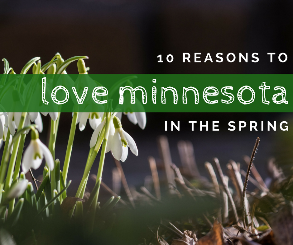 Minnesota Spring, Look on the Bright Side