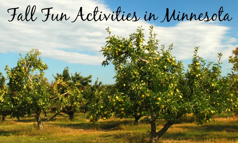 Fall Things To Do In Minnesota