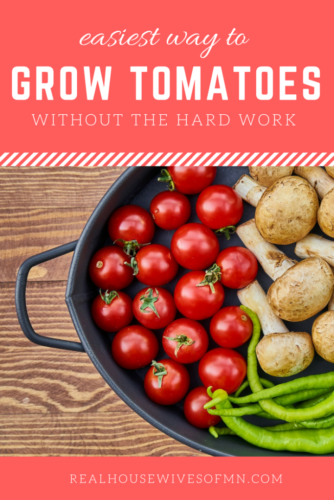 Easiest most foolproof way to grow tomatoes