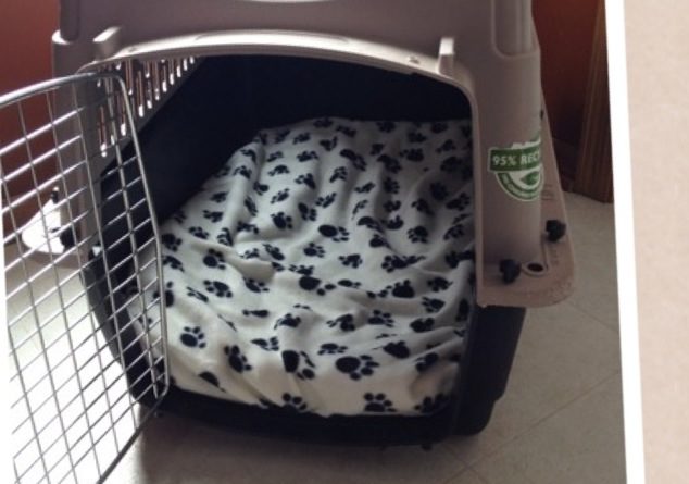 Easy Dog Crate Pillow Archives Real Housewives Of Minnesota