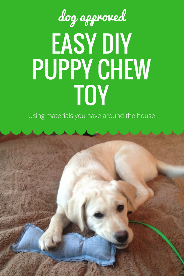 DIY ChewProof Puppy Toy Real Housewives of Minnesota