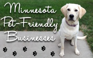 Pet Friendly Businesses Minnesota 300x188 