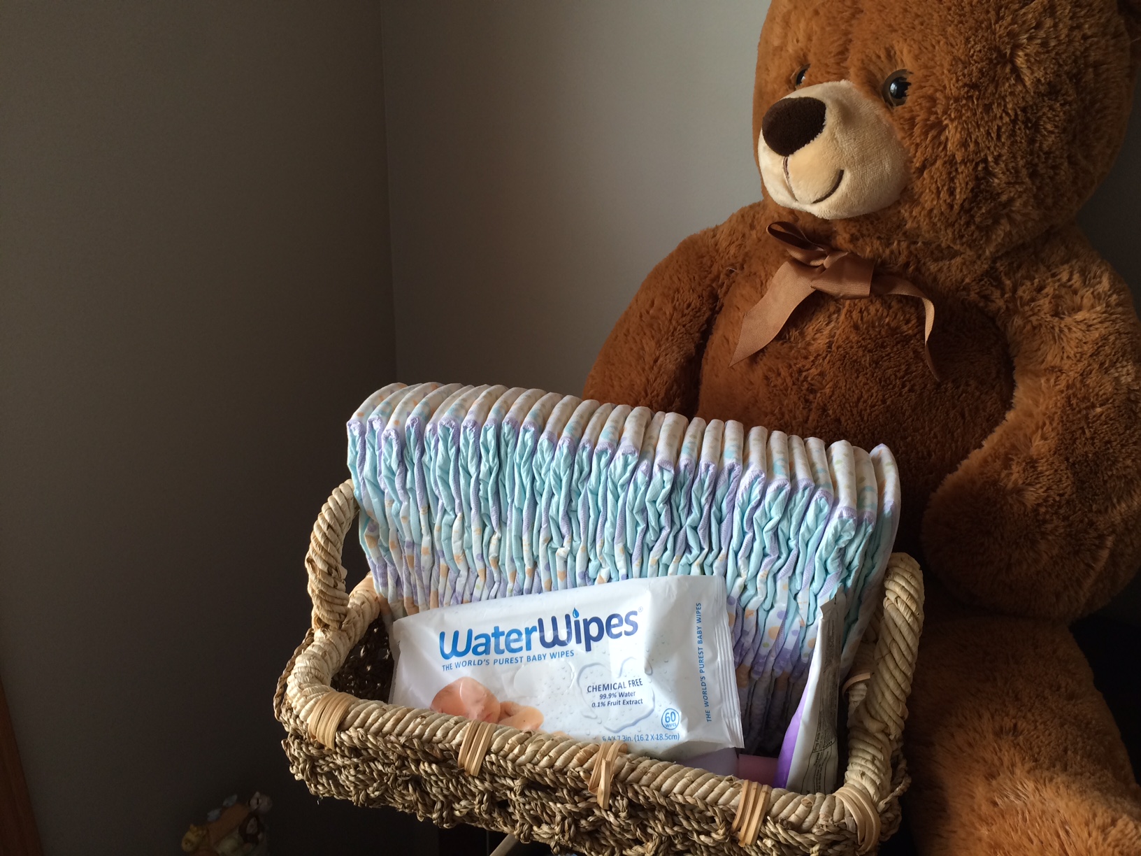 The Best Wipes For Your Baby's Bum Real Housewives of Minnesota