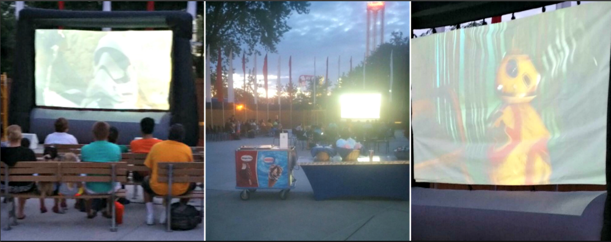 Our Amazing Family Night at Valleyfair Real Housewives of Minnesota