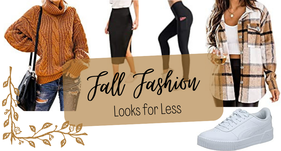 The Looks For Much Less This Fall