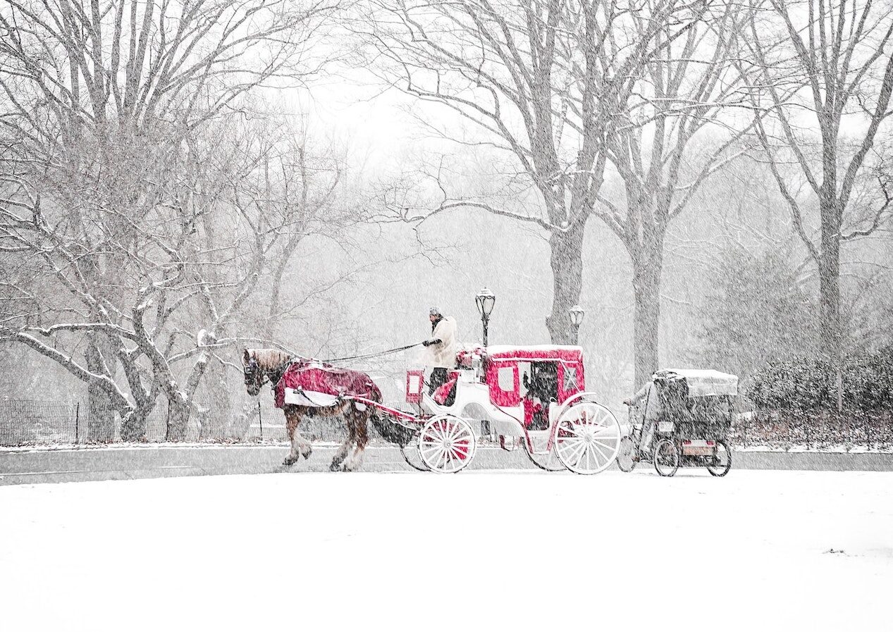 Snowy Fun: 5 Date Night Ideas to Embrace the Minnesota Winter